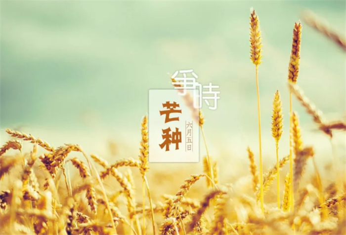 20200609/b5fd0e7c45c9df82f7c69e111e771671.jpg 5.jpg