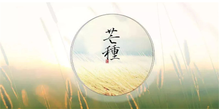 20200609/ef913feec3ea5f344ce4afa526b85067.jpg 9.jpg